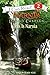 Prince Caspian: This Is Narnia (I Can Read Level 2)