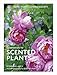 The RHS Companion to Scented Plants