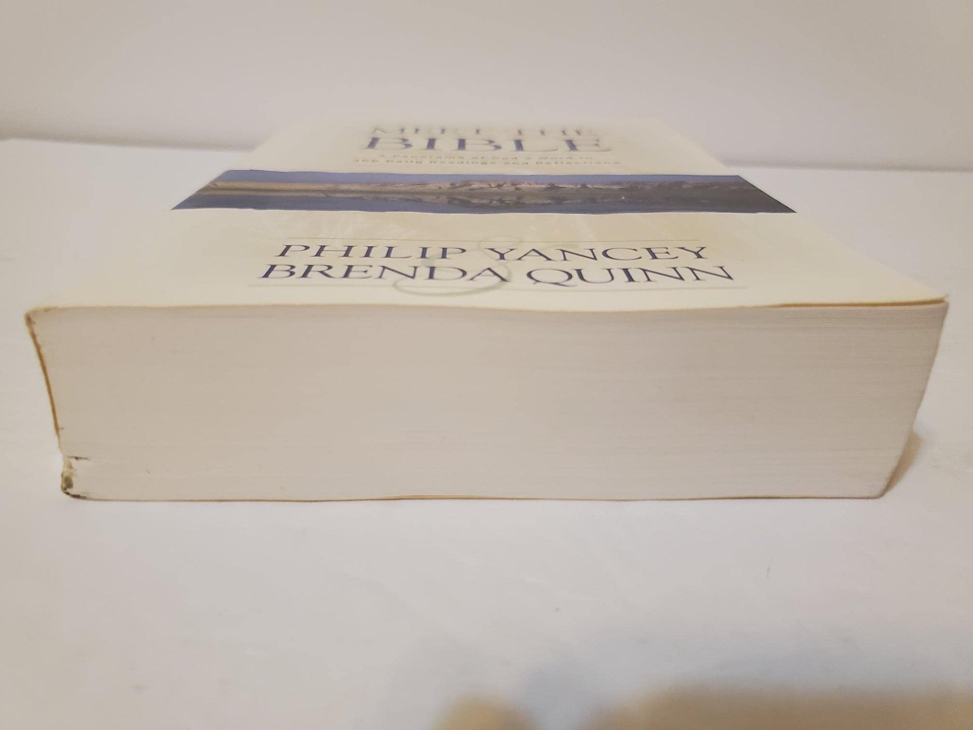 Meet the Bible: A Panorama of God's Word in 366 Daily Readings and Reflections used book depot