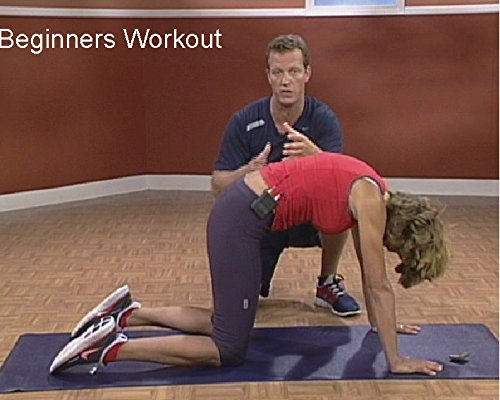 Egoscue: Pain Free Workout Series Vol. 1 and 2 used book depot