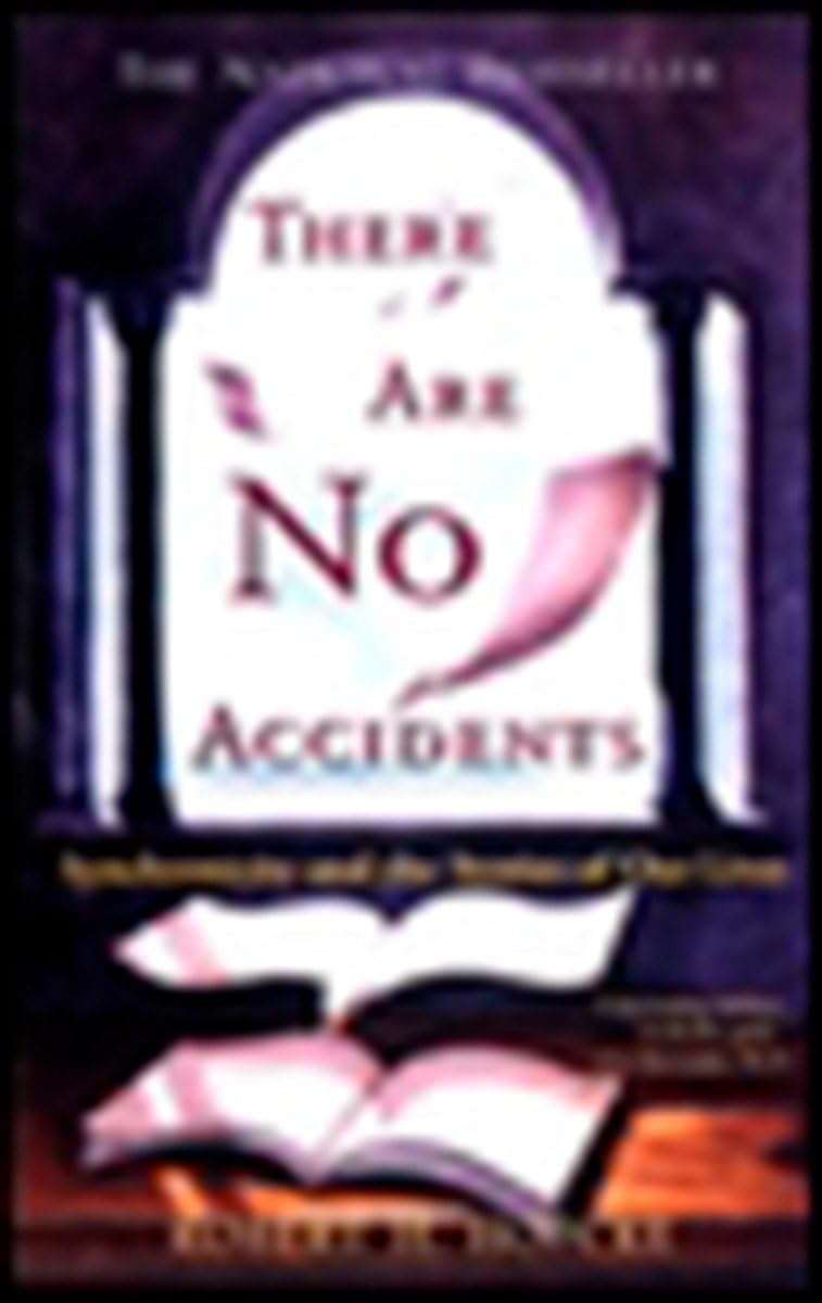 There Are No Accidents: Synchronicity and the Stories of Our Lives used book depot