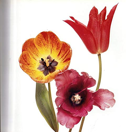 Flowers used book depot