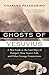 Ghosts of Vesuvius: A New Look at the Last Days of Pompeii, How Towers Fall, and Other Strange Connections