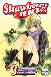 Strawberry 100%, Volume 3 used book depot