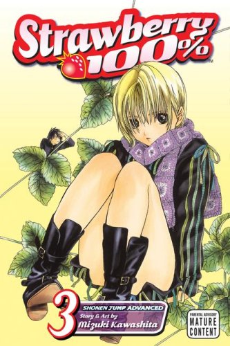 Strawberry 100%, Volume 3 used book depot