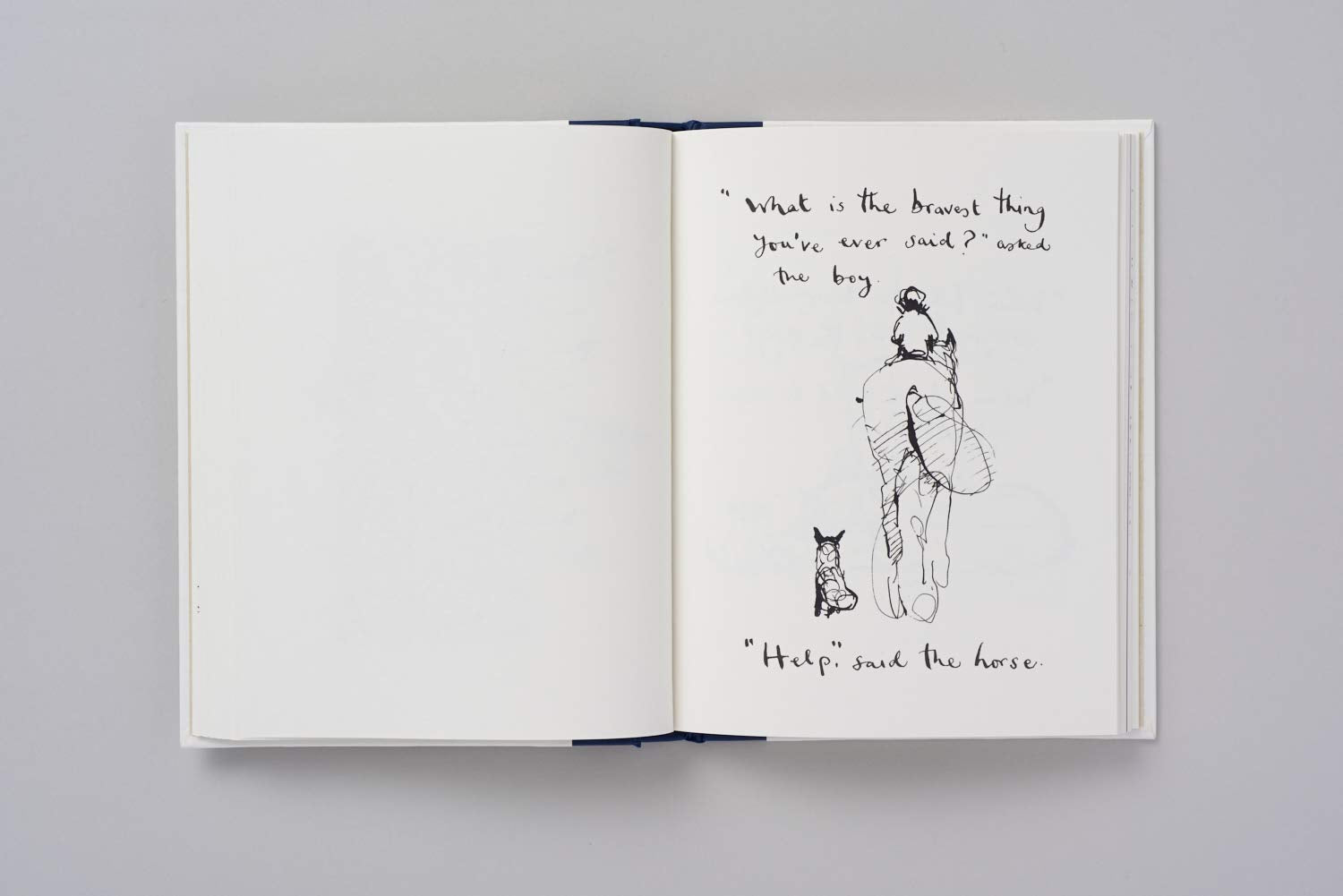 The Boy, The Mole, The Fox and The Horse /anglais used book depot
