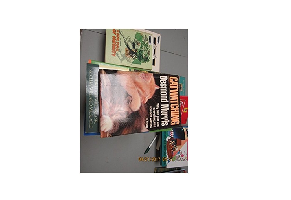 Catwatching used book depot