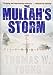 The Mullahs Storm [Hardcover] Young, Thomas W