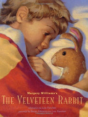 The Velveteen Rabbit used book depot