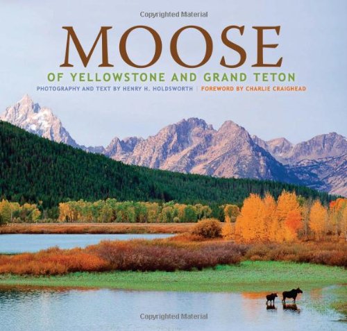 Moose of Yellowstone and Grand Teton used book depot