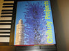 Chihuly Projects