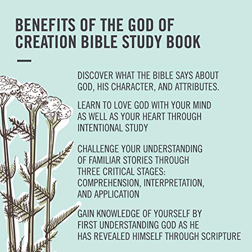 God of Creation - Bible Study Book: A Study of Genesis 1-11 used book depot