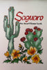 Saguaro: The Desert Flower Book Miller, Millie