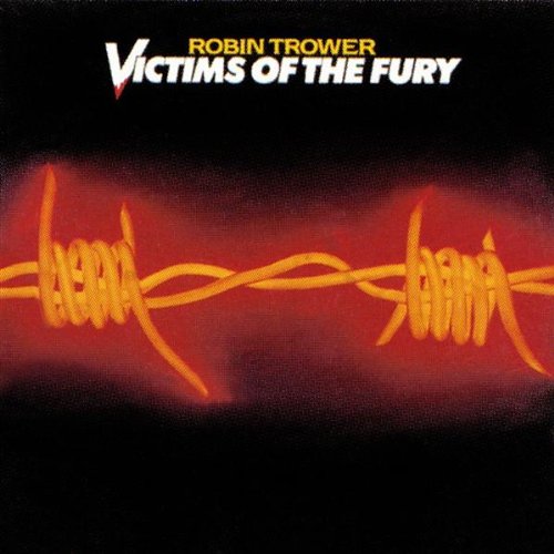 Victims of the Fury used book depot