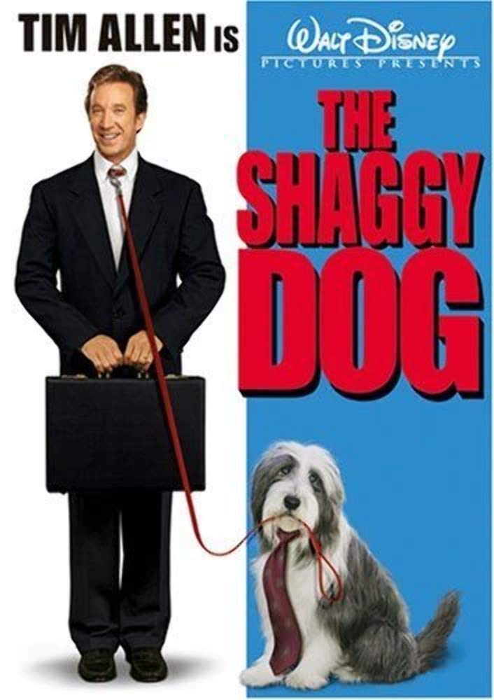 The Shaggy Dog used book depot