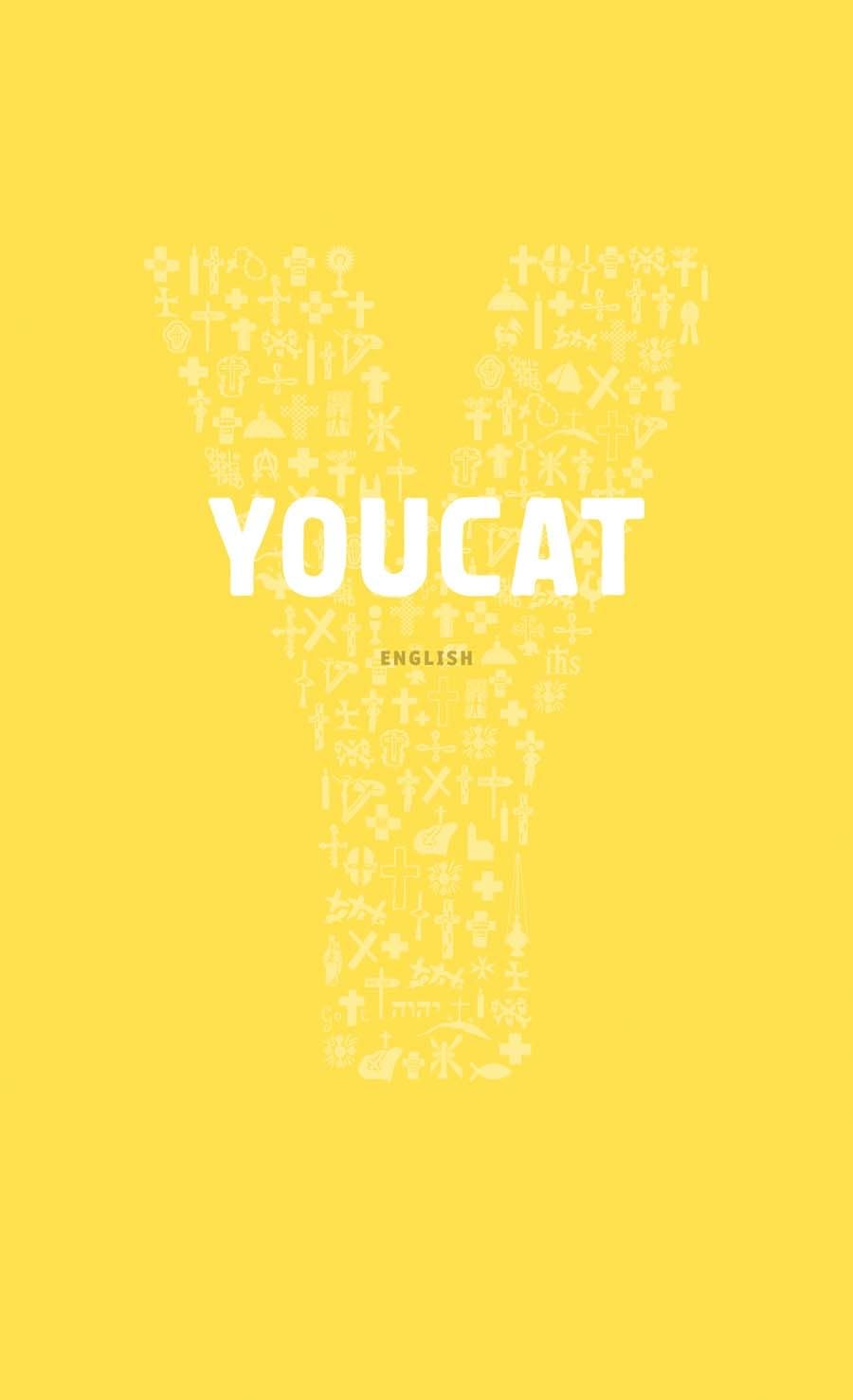 YOUCAT English: Youth Catechism of the Catholic Church used book depot