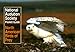 National Audubon Society Pocket Guide to North American Birds of Prey (National Audubon Society Pocket Guides)