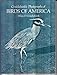 Cruickshank's Photographs of Birds of America