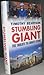 Stumbling Giant: The Threats to China's Future