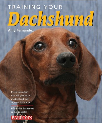 Training Your Dachshund Training Your Dog Fernandez, Amy