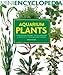 Aquarium Plants: Comprehensive coverage, from growing them to perfection to choosing the best varieties.