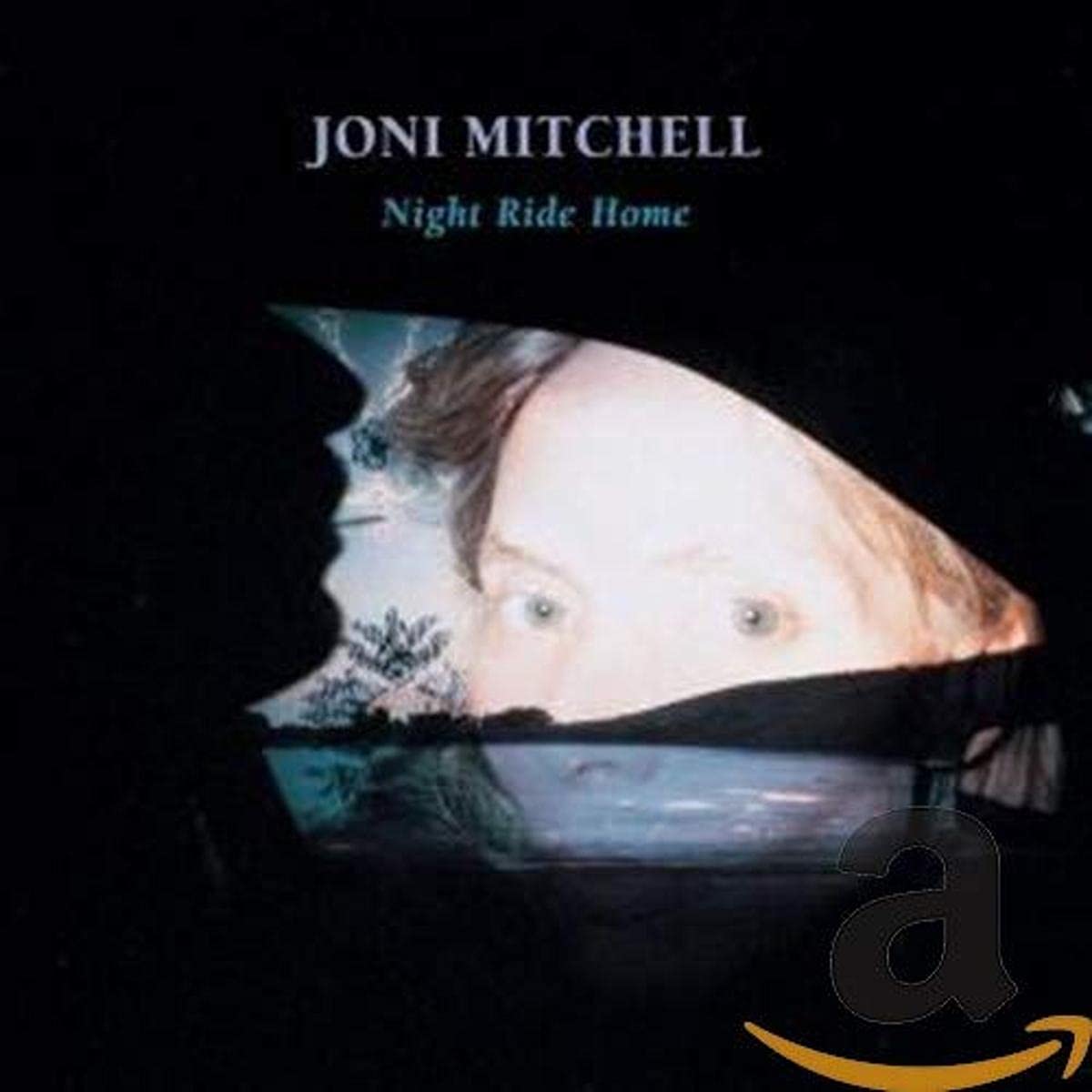 Night Ride Home used book depot