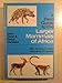 A Field Guide to the Larger Mammals of Africa (Collins Field Guide Series)