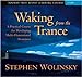 Waking from the Trance: A Practical Course for Developing MultiDimensional Awareness Wolinsky PHD, Stephen