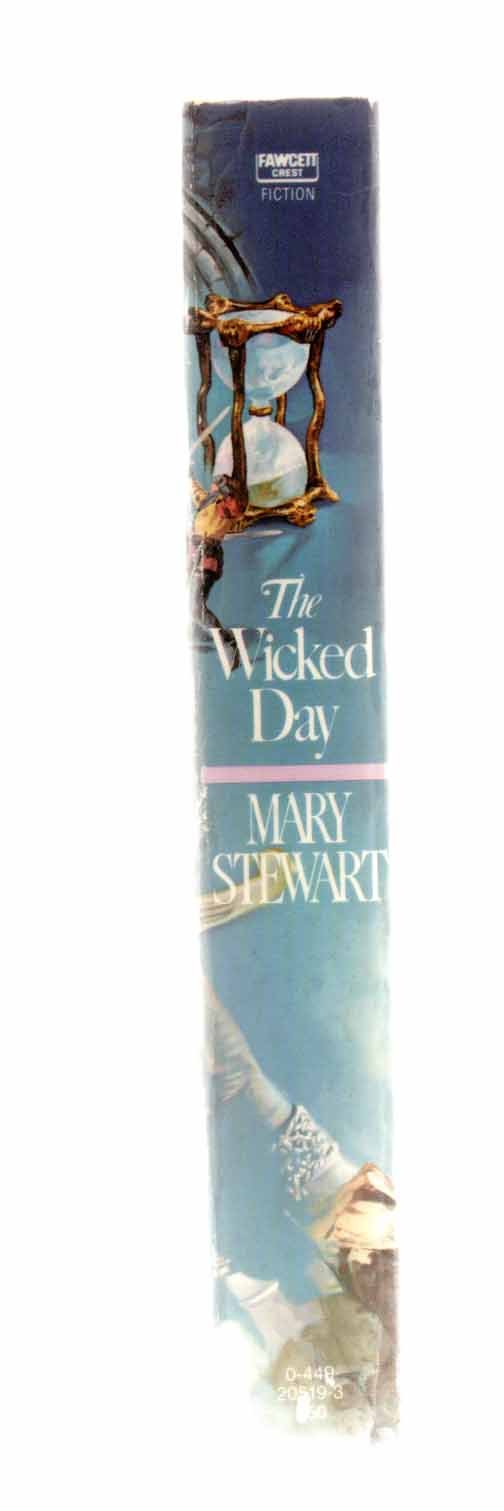 The Wicked Day used book depot