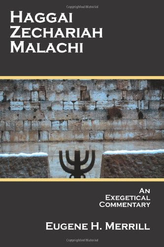 Haggai, Zechariah, Malachi: An Exegetical Commentary used book depot