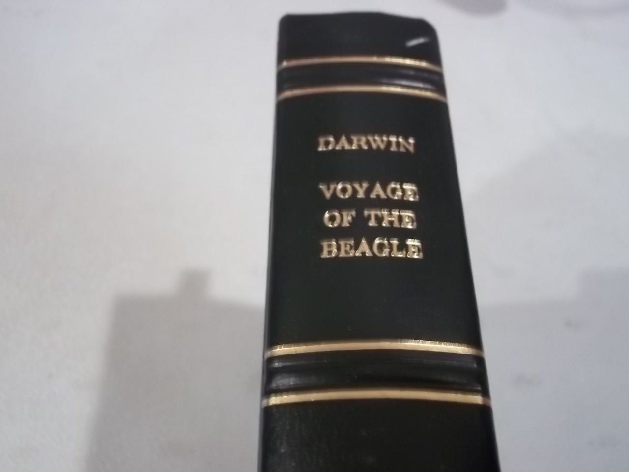 The Voyage of the Beagle (The Harvard Classics) Deluxe Edition used book depot