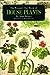 Womans Day Book of House Plants Fawcett publishing