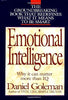 Emotional Intelligence: Why It Can Matter More than IQ