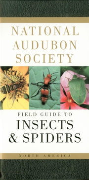 National Audubon Society Field Guide to Insects and Spiders: North America (National Audubon Society Field Guides) used book depot