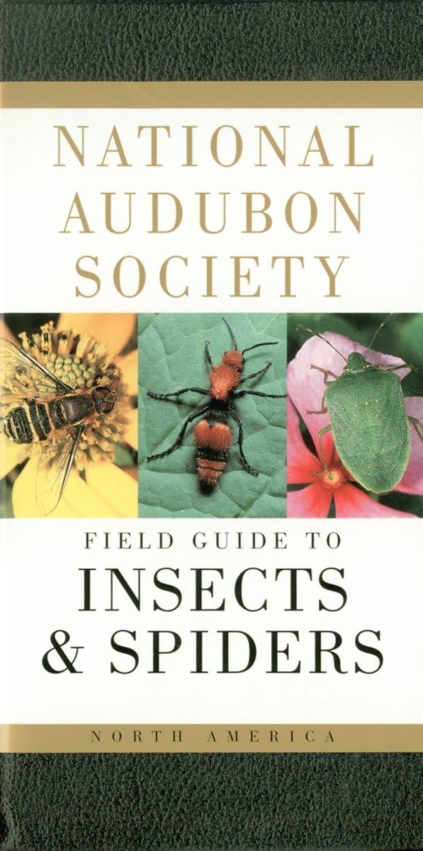 National Audubon Society Field Guide to Insects and Spiders: North America (National Audubon Society Field Guides) used book depot
