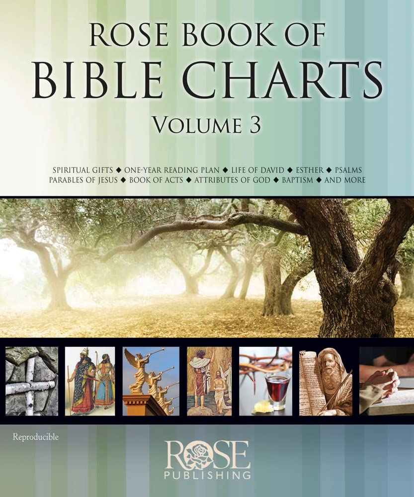 Rose Book of Bible Charts, Volume 3 used book depot