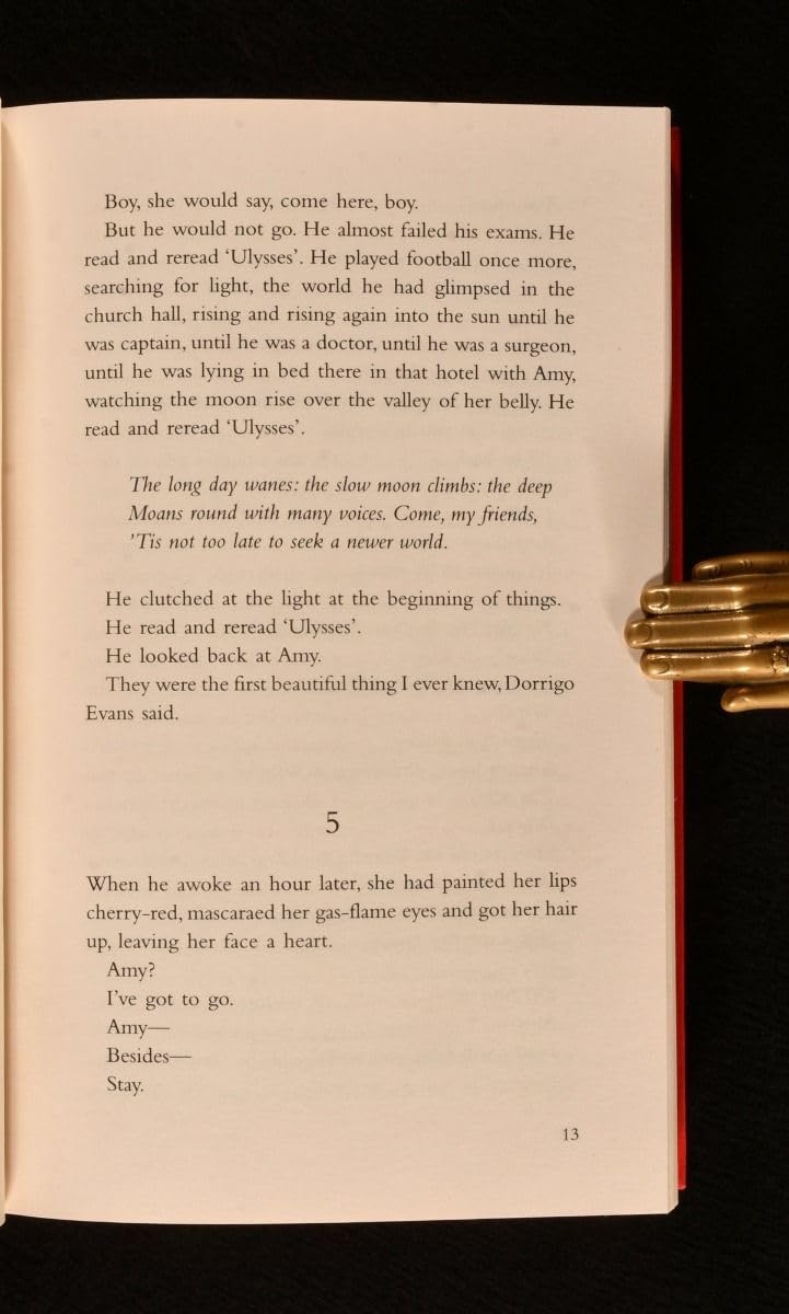 The Narrow Road to the Deep North: A novel used book depot
