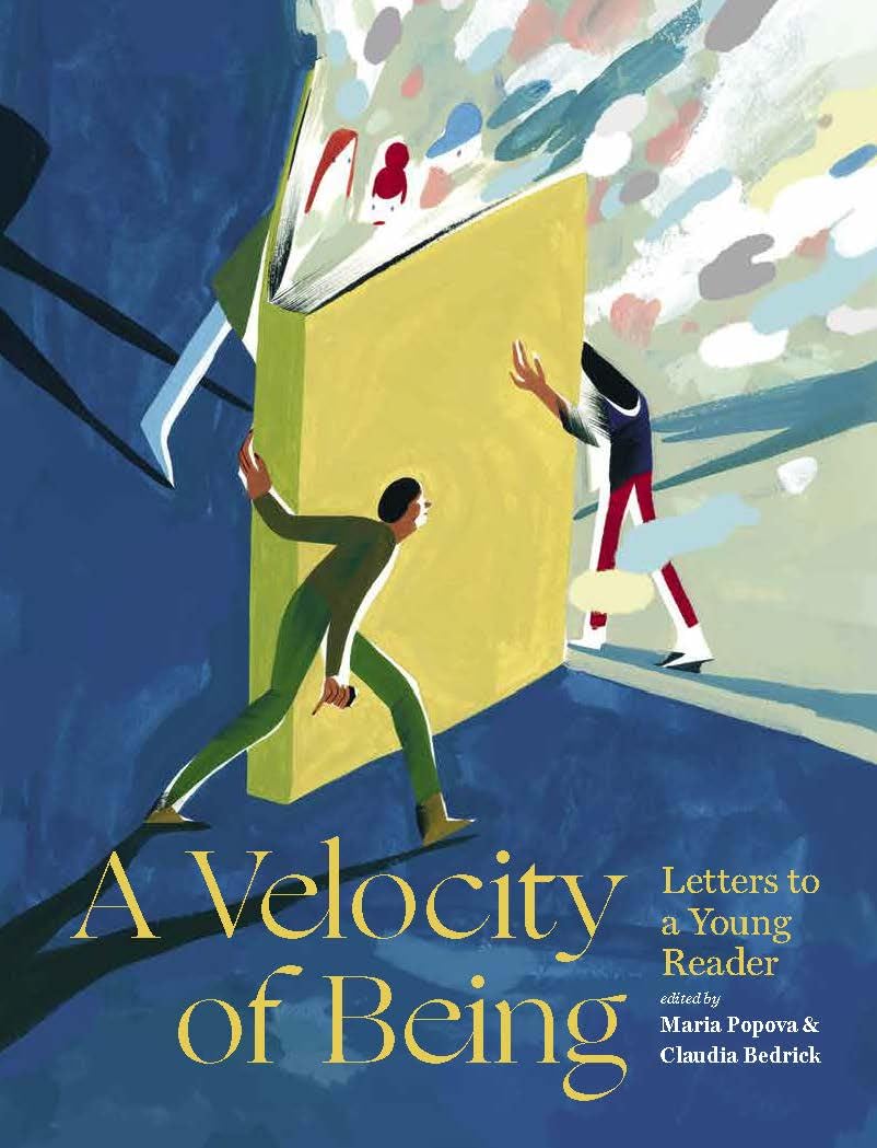 A Velocity of Being: Letters to A Young Reader used book depot