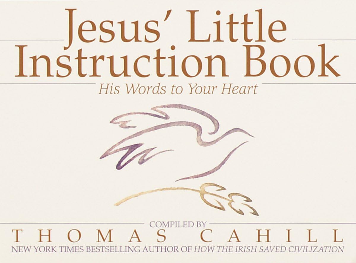 Jesus' Little Instruction Book: His Words to Your Heart used book depot