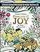 Promises of Joy: An Adult Coloring Book Feinberg, Margaret