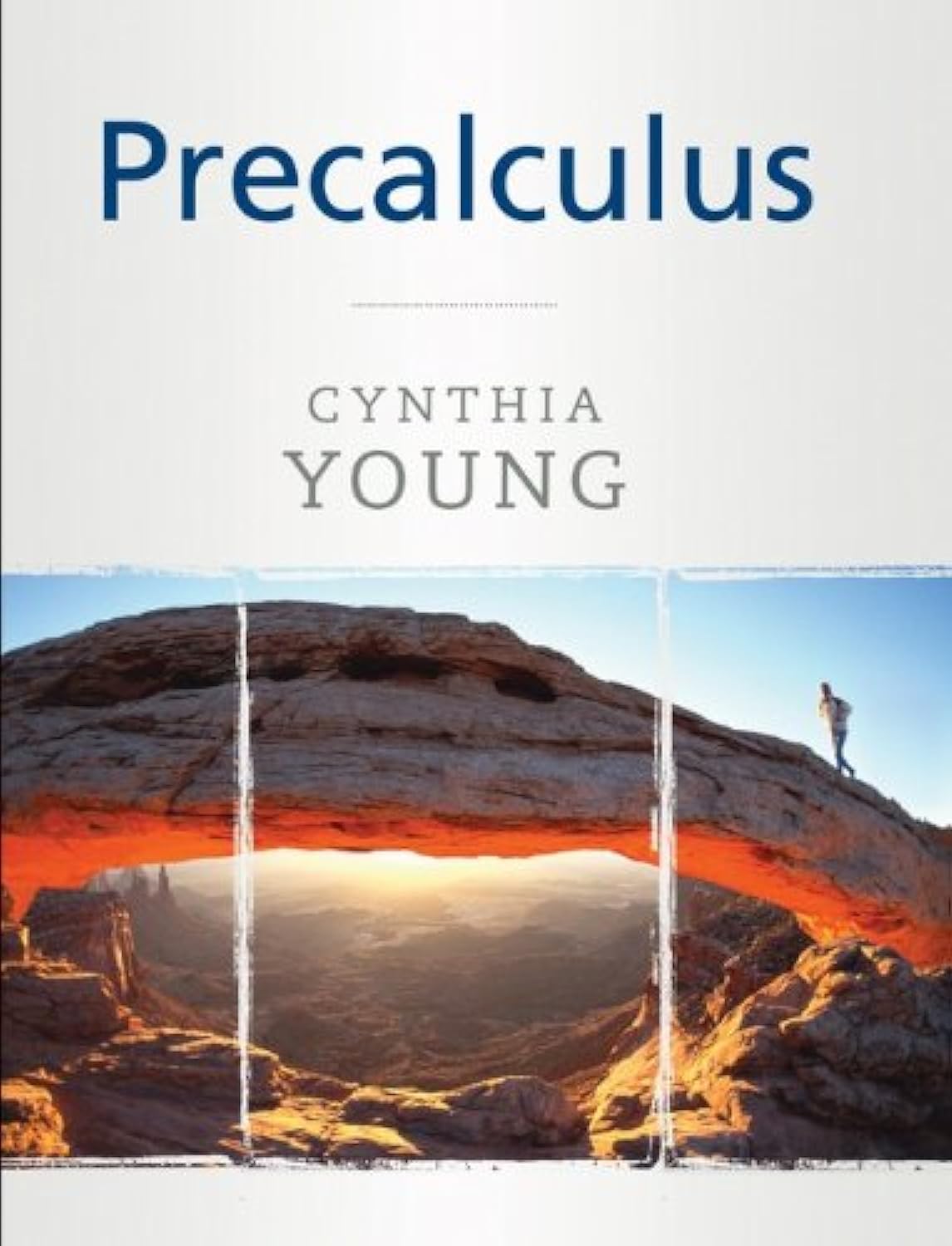 Precalculus used book depot