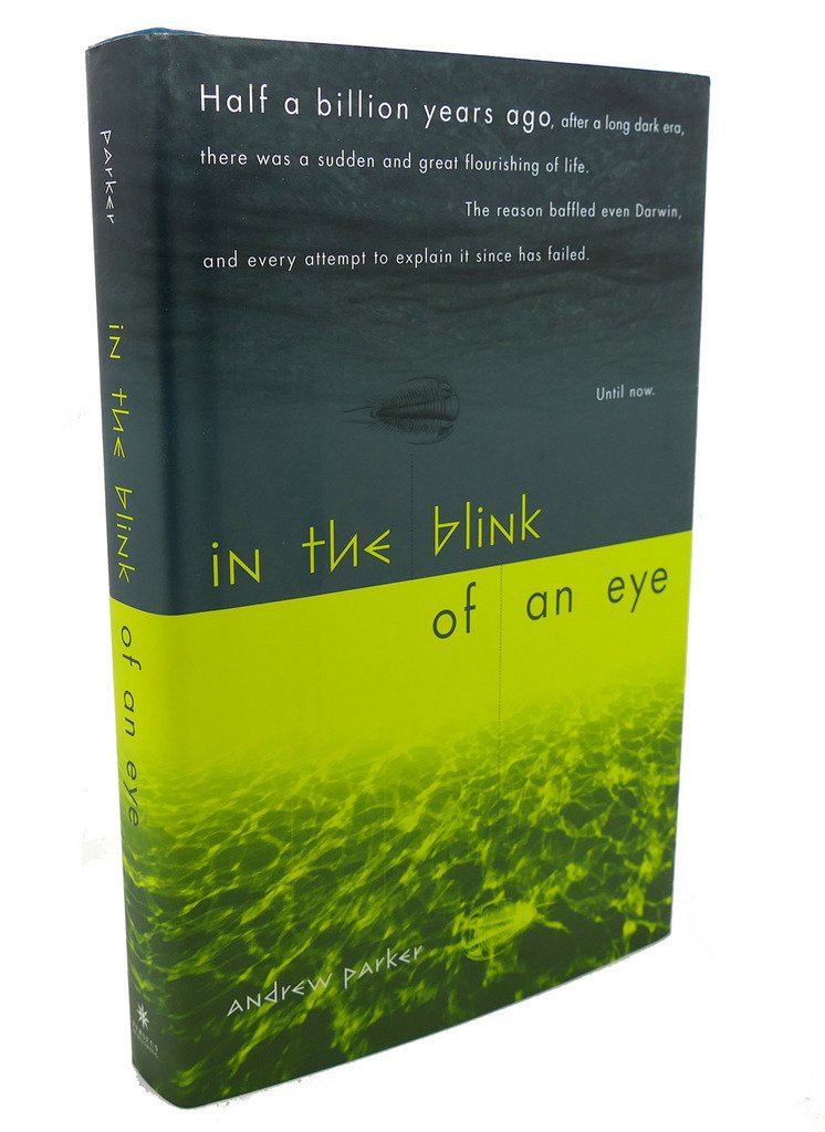 In The Blink Of An Eye used book depot