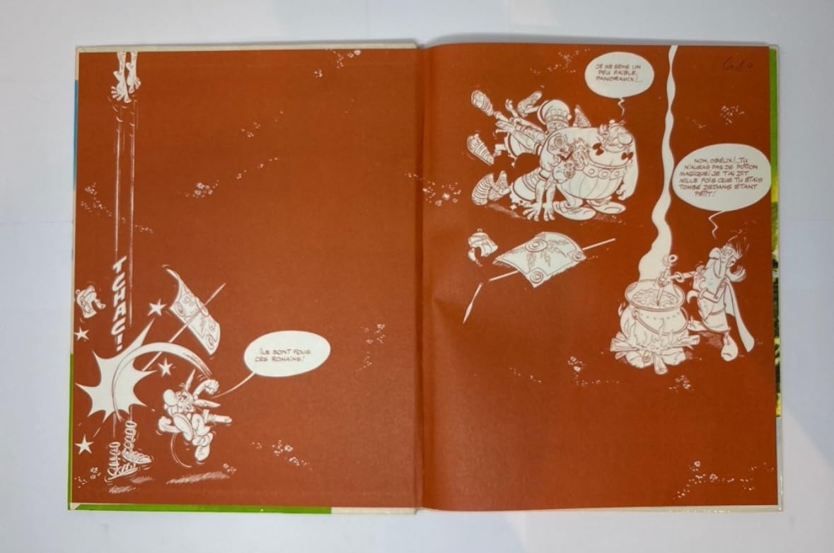 Asterix Le Gaulois used book depot