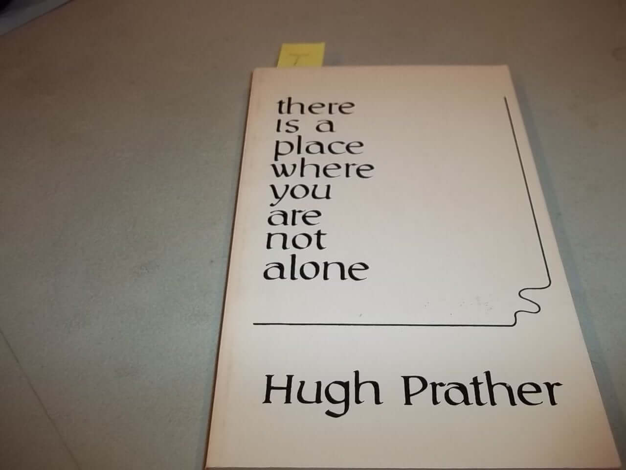 There is a Place Where You Are Not Alone (Dolphin Book) used book depot