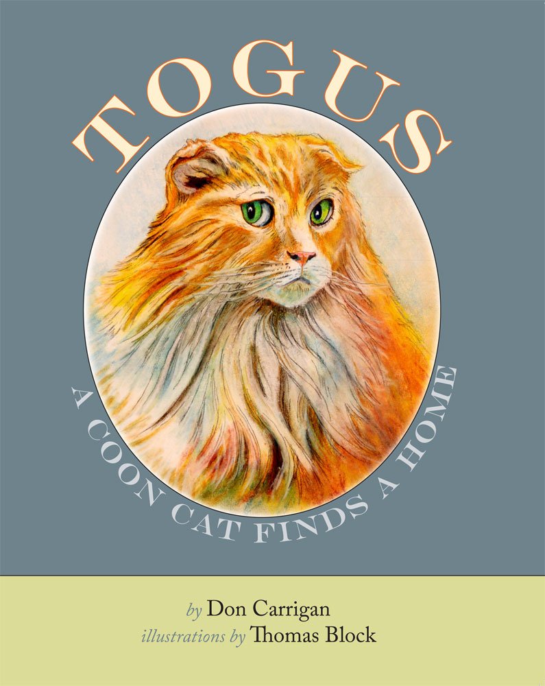 Togus, A Coon Cat Finds a Home used book depot