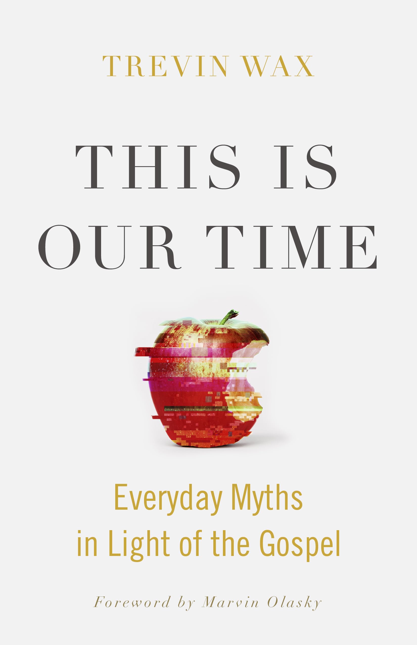 This Is Our Time: Everyday Myths in Light of the Gospel used book depot