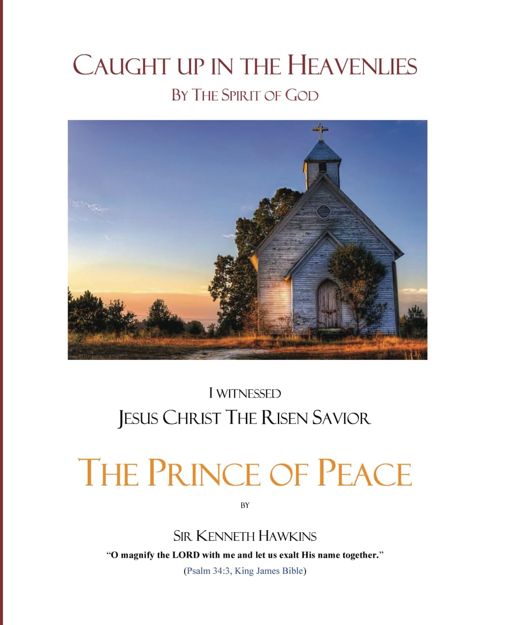 Caught Up in the Heavenlies: A Glimpse Into Eternity - A View of Jesus Christ: The Prince of Peace used book depot