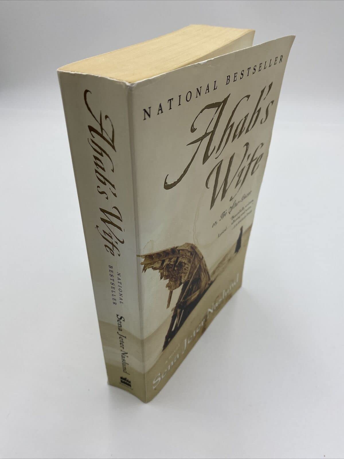 Ahab's Wife: Or, The Star-Gazer: A Novel used book depot