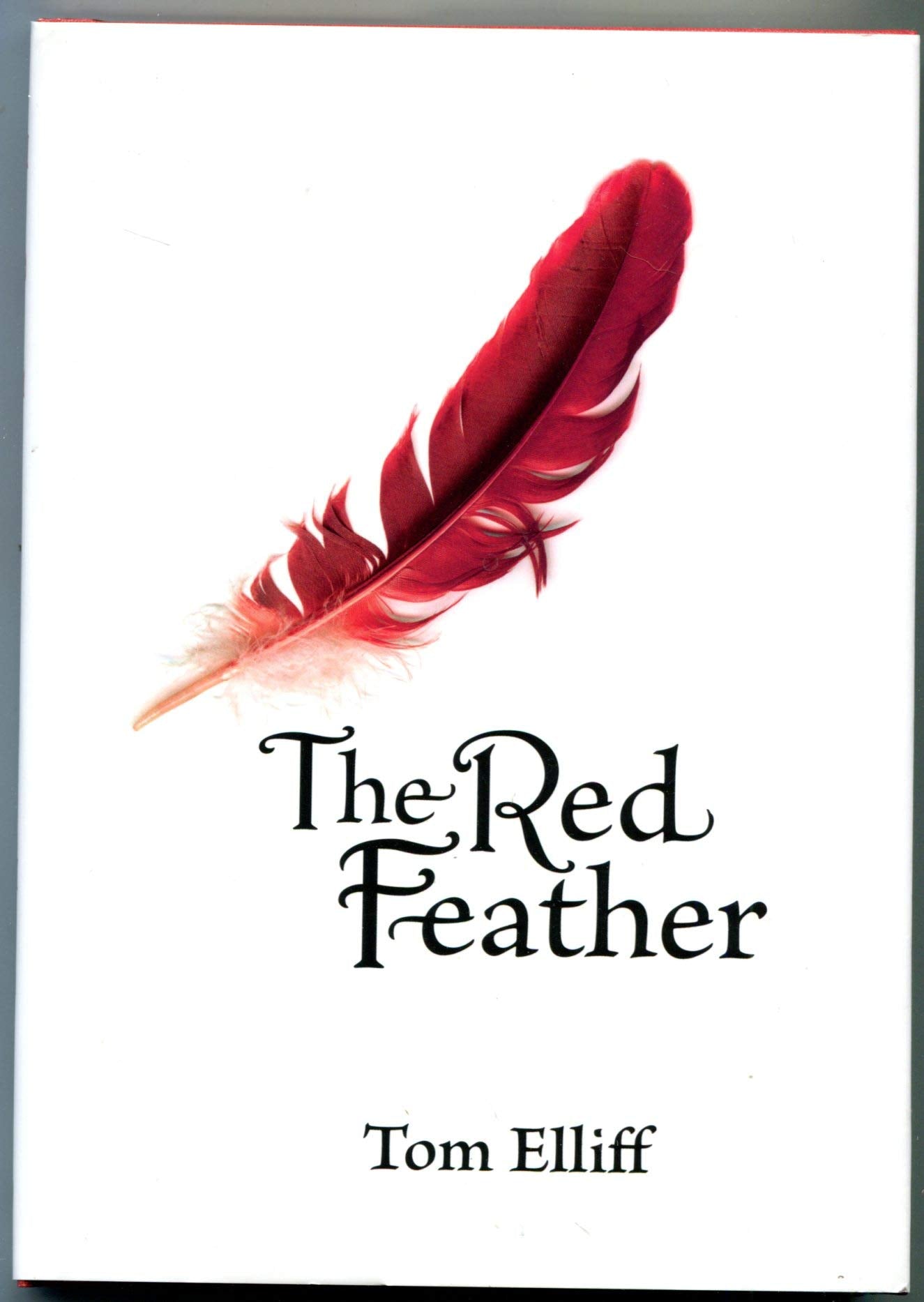 The Red Feather: A Christmas Story for All Seasons used book depot