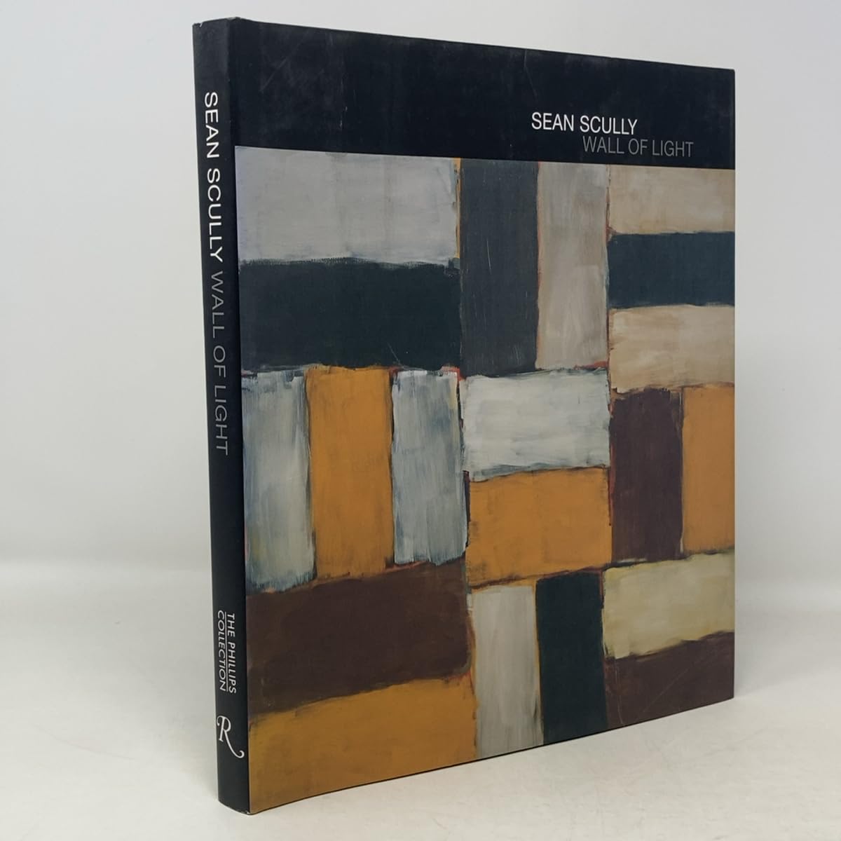 Sean Scully: Wall of Light used book depot
